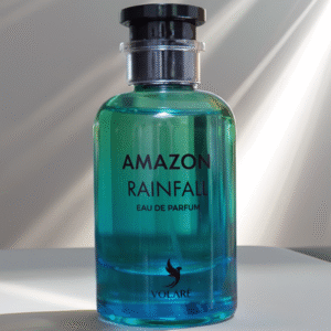Amazon rainfall